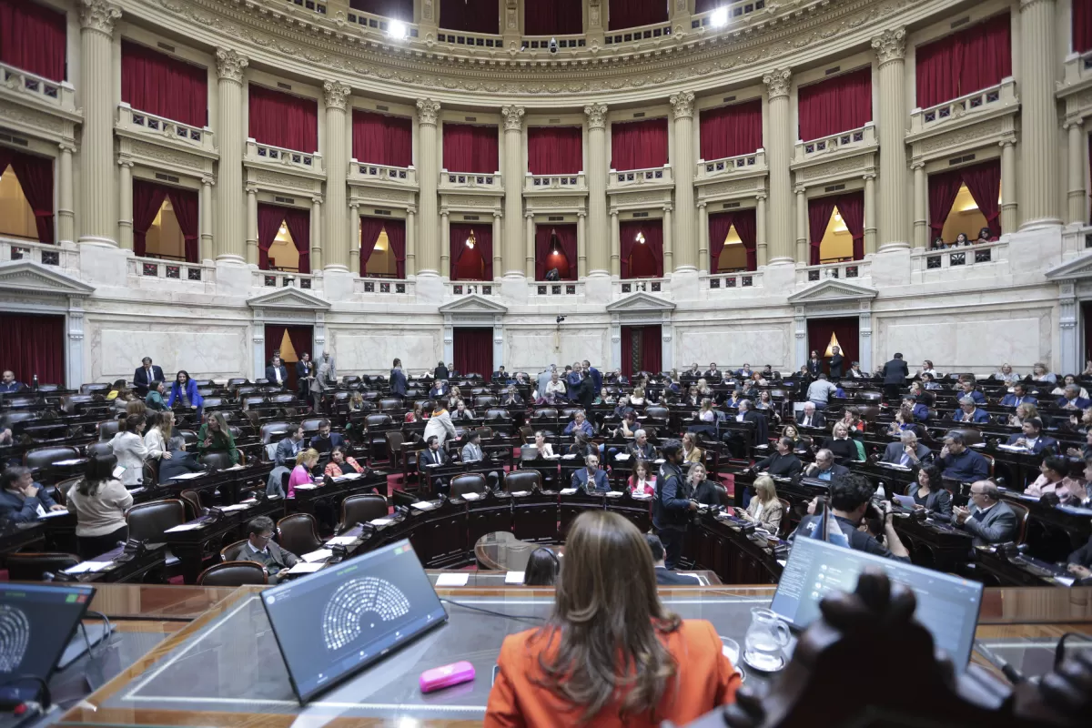 Diputados: en qué consiste la ley de diagnóstico humanizado sobre Síndrome de Down