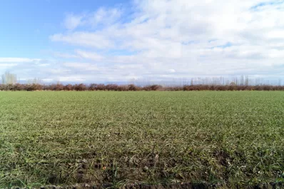 Las lluvias de marzo favorecieron en el Noa los índices de humedad de suelo