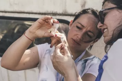 Alertan la circulación de un nuevo genotipo de dengue en el país: los riesgos