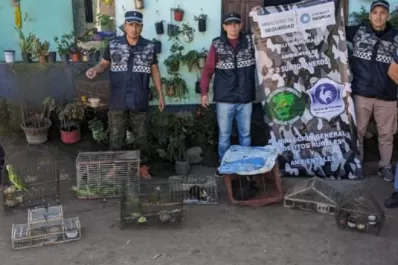 Rescatan aves en cautiverio en La Cocha