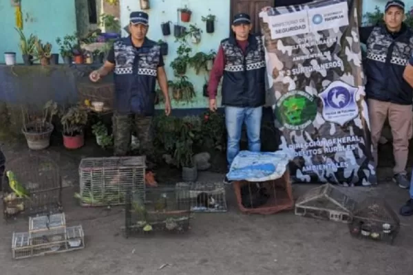 Rescatan aves en cautiverio en La Cocha