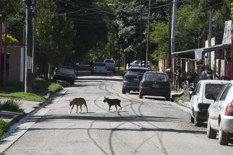 LA ZONA DEL ATAQUE. Los vecinos coincidieron que es insegura.