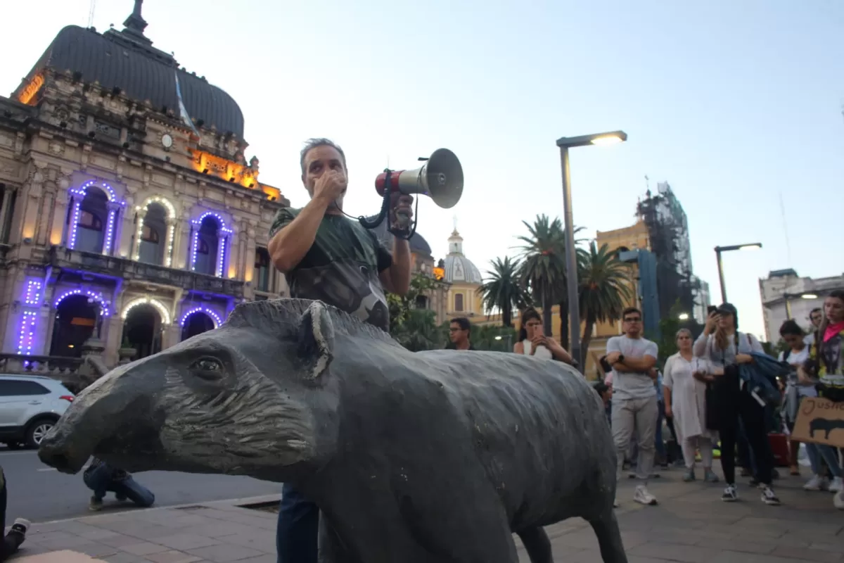 PROTESTA POR LA TAPIR ASESINADA EN TUCUMÁN