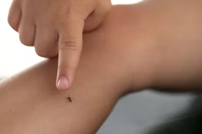 Dengue: siete consejos para proteger a bebés, niños y adolescentes