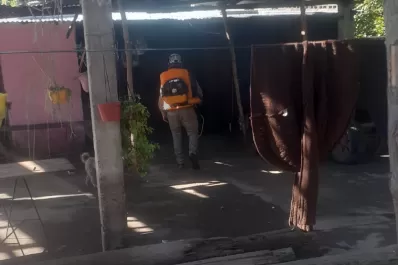 Dengue: por qué las campañas generan poca participación social