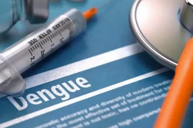 Dengue: cuáles son las vacunas que están bajo estudio en la Argentina