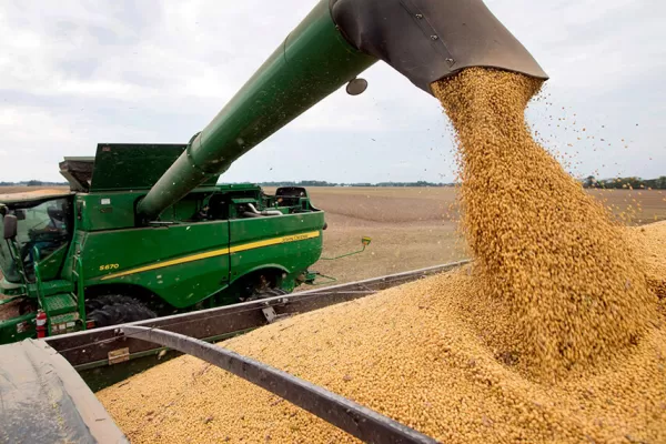 Reporte Rural: optimizar la trilla para reducir las pérdidas