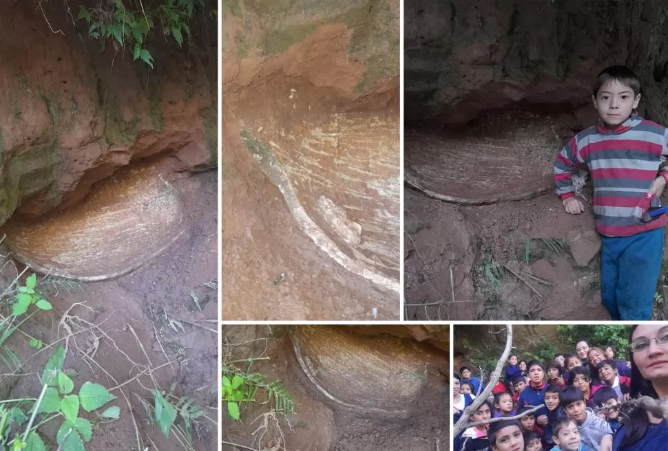 REGISTROS. Las fotos muestran una parte del caparazón del animal y el entorno en donde fue encontrado. Tras ser descubierto por Erik Díaz, otros pequeños alumnos de la escuela Doctor Benjamín Paz acudieron al sitio. 