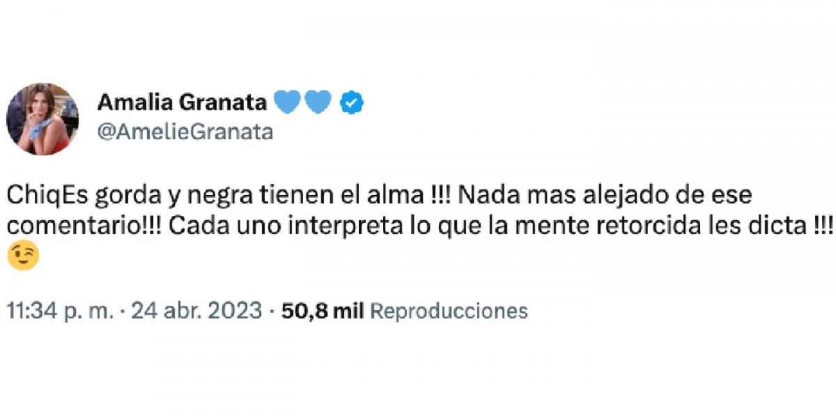 “Negra tienen el alma”: el descargo de Amalia Granata tras las críticas a sus comentarios sobre el cuerpo de su hija