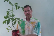 Dejar de planchar ropa: ¿la solución al calentamiento global?