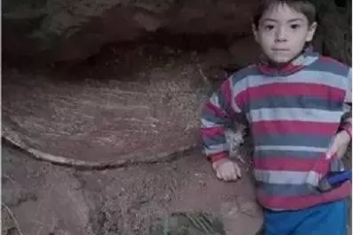 Cómo eran y cómo vivían los gliptodontes, el prehistórico animal encontrado por el niño tucumano de siete años