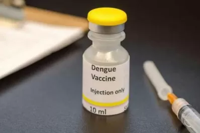 Vacuna contra el dengue: ¿qué dicen los expertos acerca del producto que se elaborará en Japón y se aplicará en Argentina?