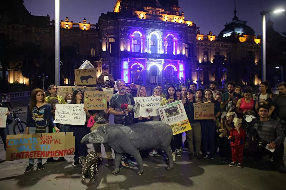 EN LA PLAZA INDEPENDENCIA. Los investigadores y funcionarios de la Reserva de Horco Molle y activistas realizaron una manifestación por Suyana. La Gaceta / foto de Juan Pablo Sánchez Noli