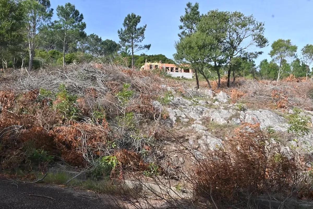 Cómo es la lujosa casa de Natalia Oreiro y Ricardo Mollo en Uruguay