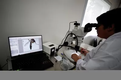 ¿Cómo se puede distinguir si uno tiene dengue o covid?