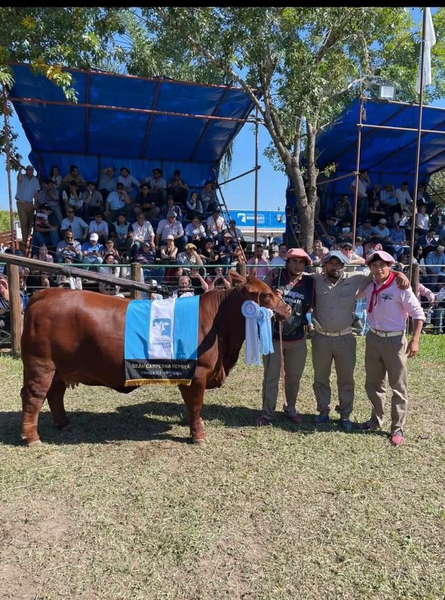 GRAN CAMPEÓN HEMBRA. Cabaña San Vicente, con el RP Vaca Huasi 1572.  