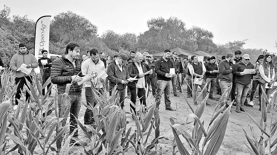 JORNADA. Los técnicos de la Eeaoc hicieron hincapié en el control de plagas y enfermedades, entre otros temas. 