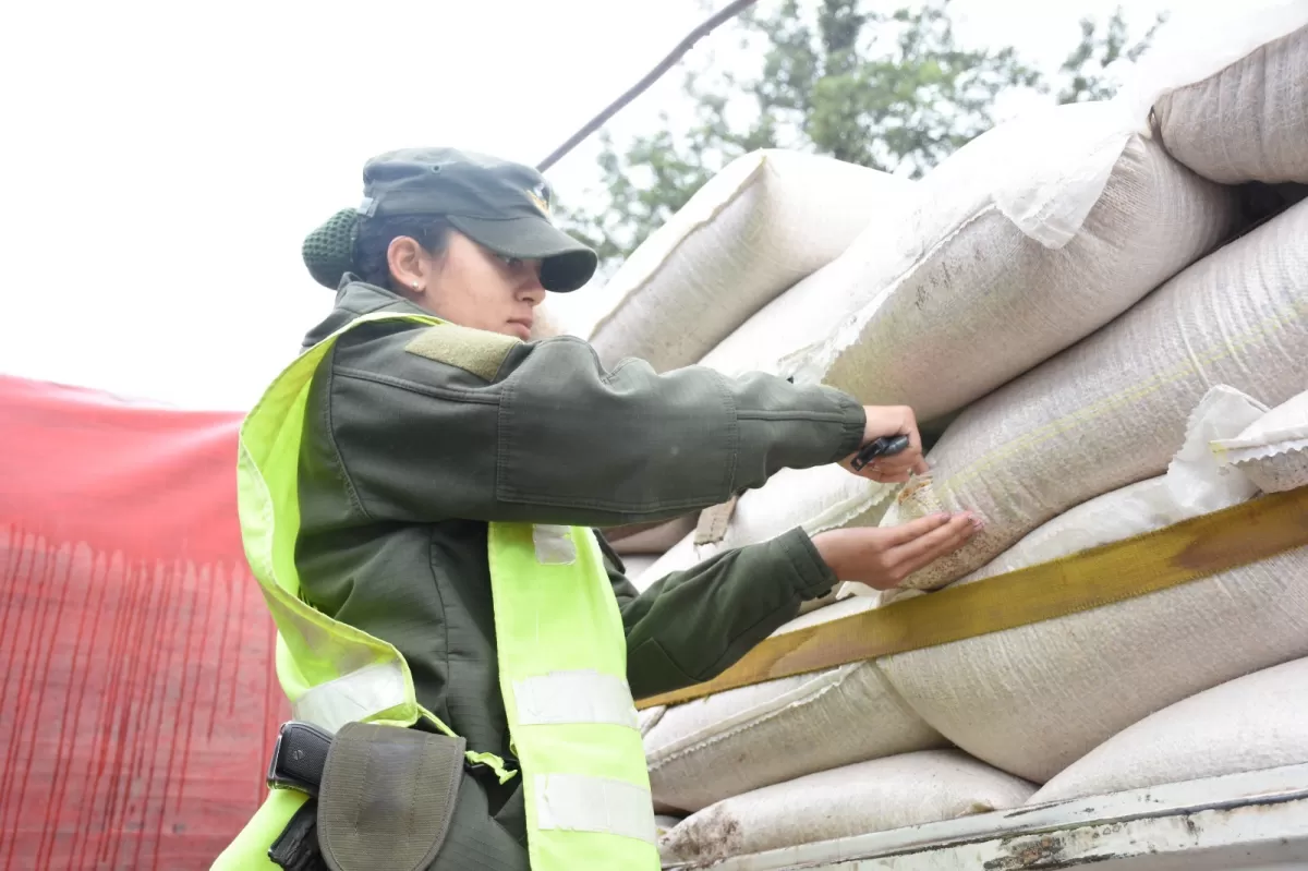 GENDARMERÍA CONTROLA EL CARGAMENTO DE LOS CAMIONES. 