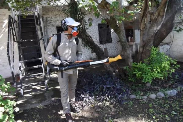 “Todavía estamos lejos de controlar el dengue”