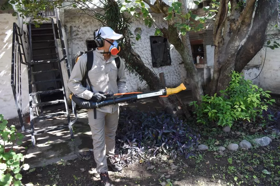 MEDIDAS DE PREVENCIÓN. Además de fumigar, para combatir el mosquito es clave mantener los patios y jardines limpios, ordenados y desmalezados. LA GACETA / FOTO DE Analía Jaramillo