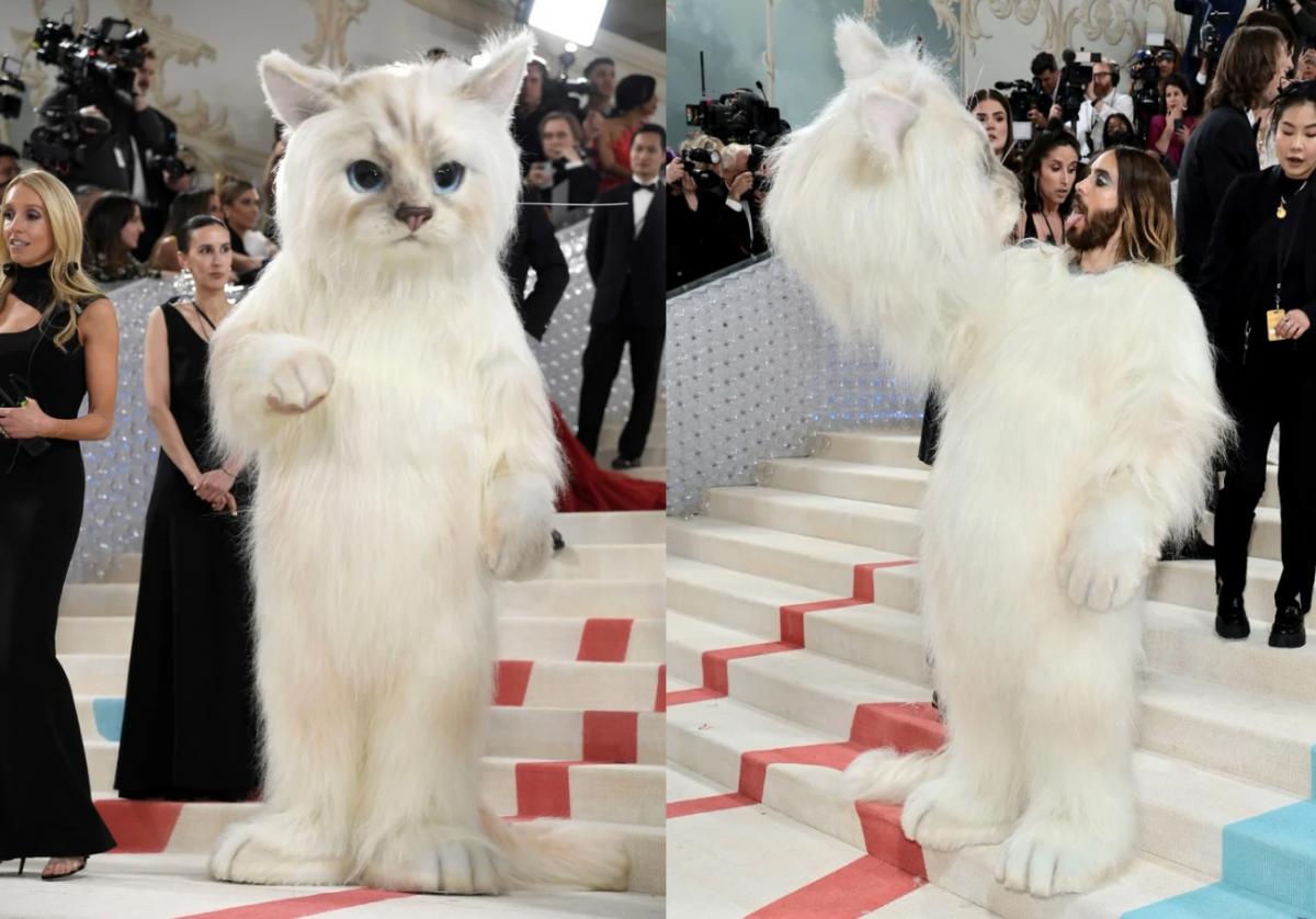 Fotos: los mejores y más excéntricos looks de la famosa Met Gala
