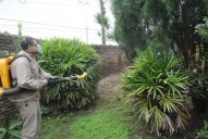 Dengue: Ya pasó lo peor de la epidemia, según el ministro de Salud