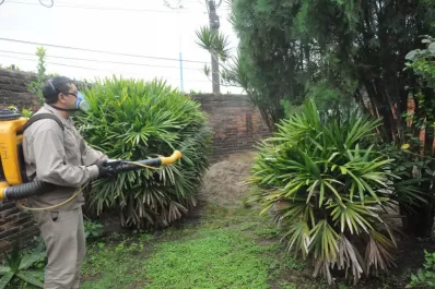 Cómo sigue la situación epidemiológica en Tucumán