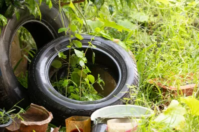 Dengue: ¿el agua hervida ayuda a eliminar criaderos de mosquitos?