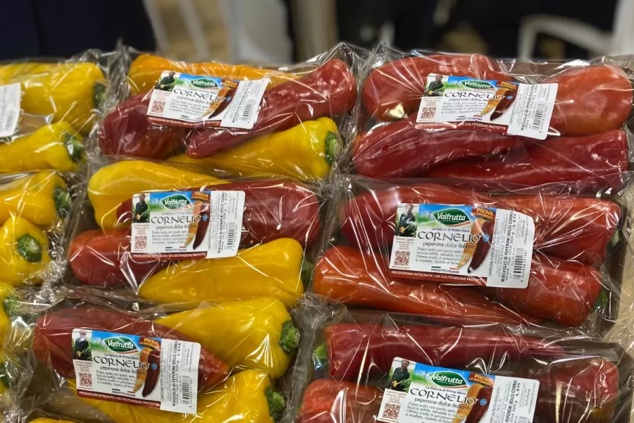 La industria global se orienta hacia productos de origen vegetal