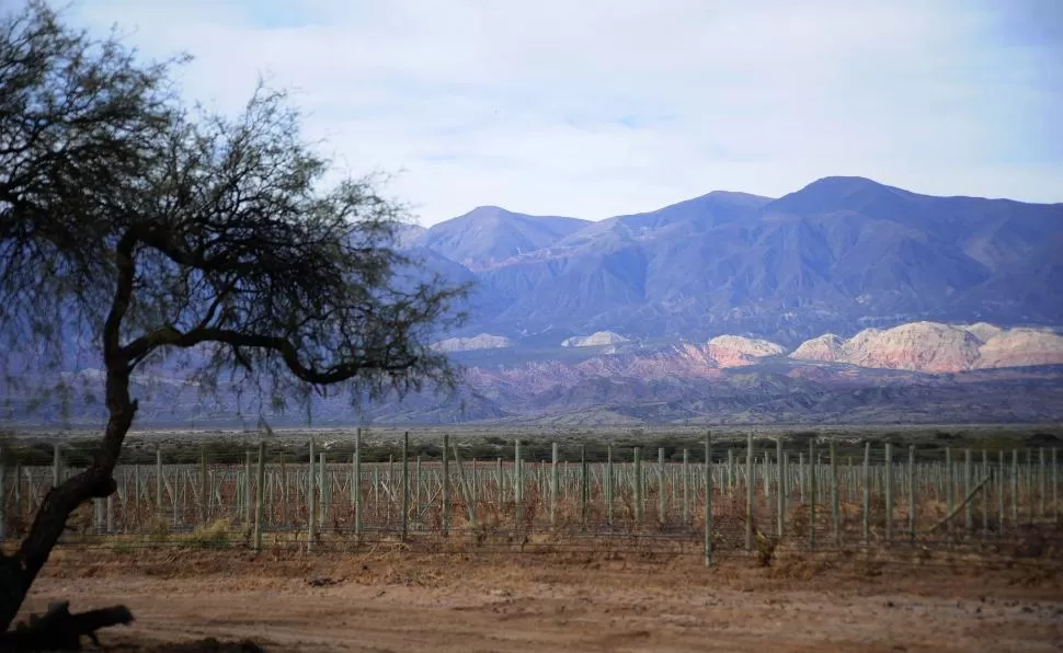 UNA REGIÓN INTERPROVINCIAL. Las tareas de los expertos de Highlands.3 se desarrollarán en los Valles Calchaquíes y en contacto con comunidades. LA GACETA / FOTO DE Osvaldo Ripoll