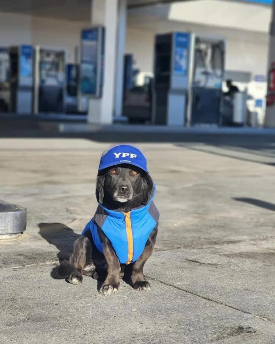 Mentirita, lista para trabajar