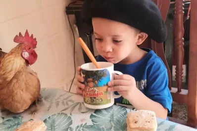 La tierna relación de un niño con su gallo adoptado: van a la escuela, comen y duermen juntos