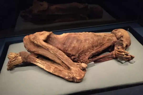 Un cadáver que no para de hablar