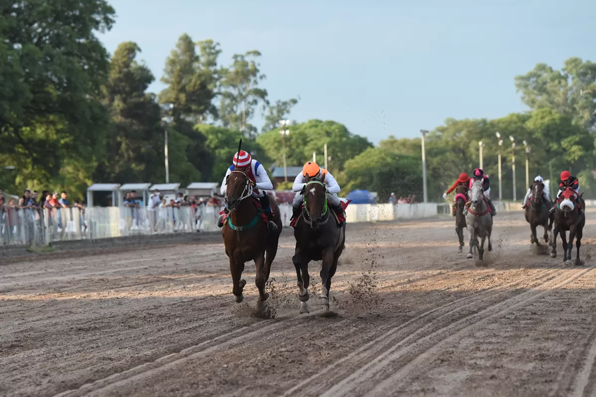 EXPERIMENTADO. El santiagueño Don Mágico se mantiene invicto en Tucumán.