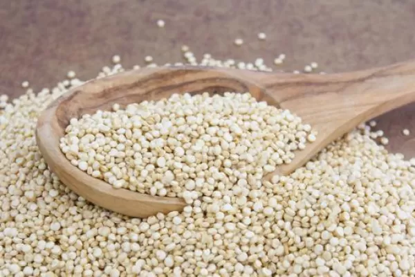 Quinoa: logran mejorar sus propiedades