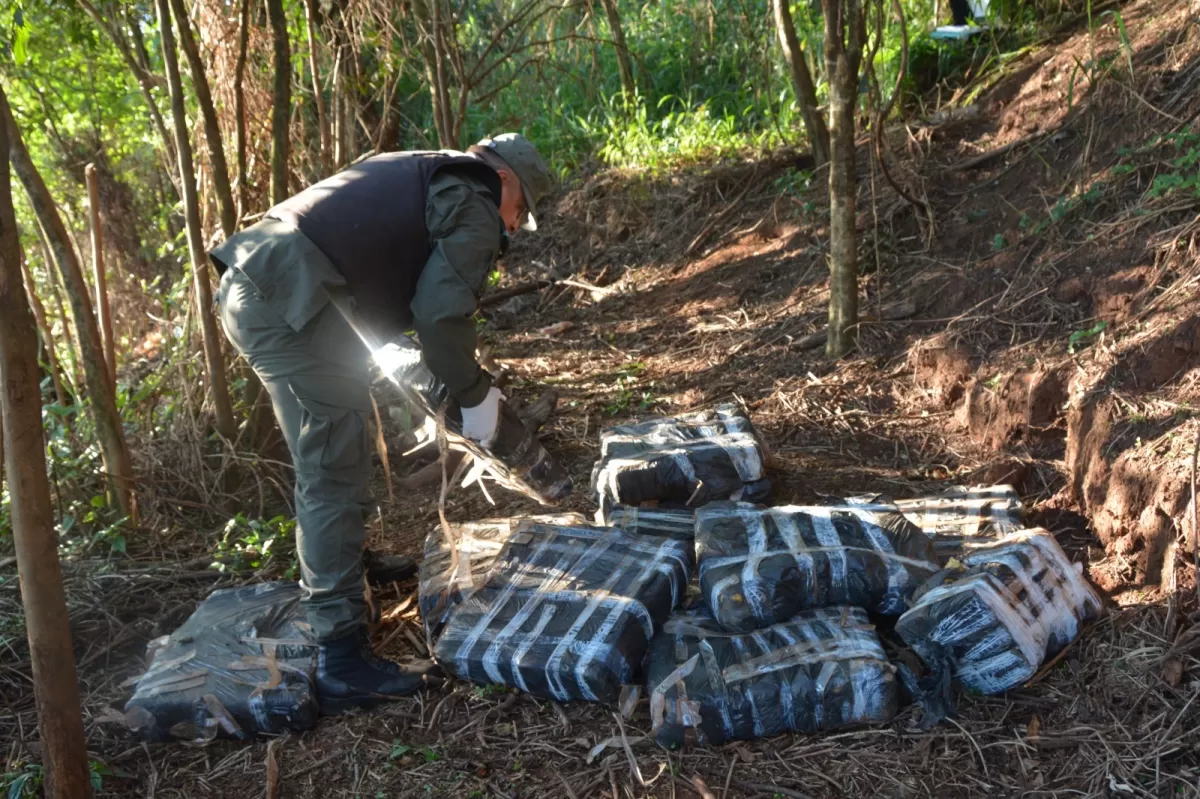 PROCEDIMIENTO. Gendarmería secuestró una importante cantidad de marihuana. 