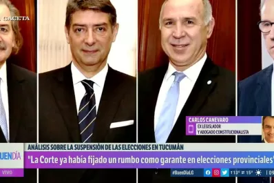 El Judicial es el único poder que le puede poner límites al Ejecutivo, según Canevaro