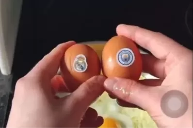 Champions League: la llamativa predicción de los huevos que anticipó los resultados y es viral