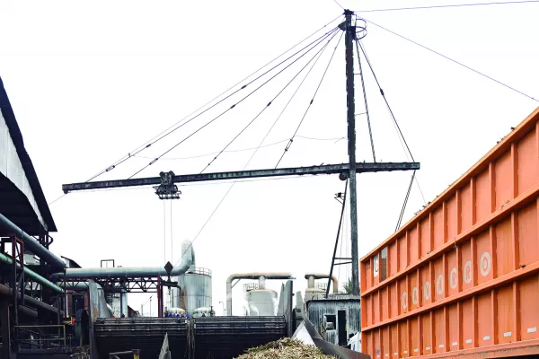 La zafra avanza lenta, con el azúcar a precio tonificado