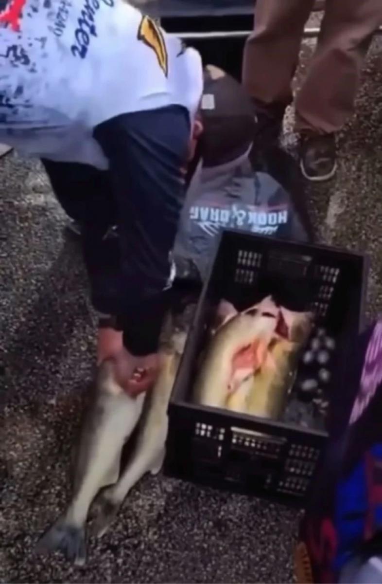 Los peces parecían pesar más de lo que aparentaba y generó sospechas.