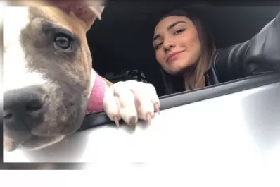 La historia de Camila, la perrita que murió de tristeza dos días después que su dueña