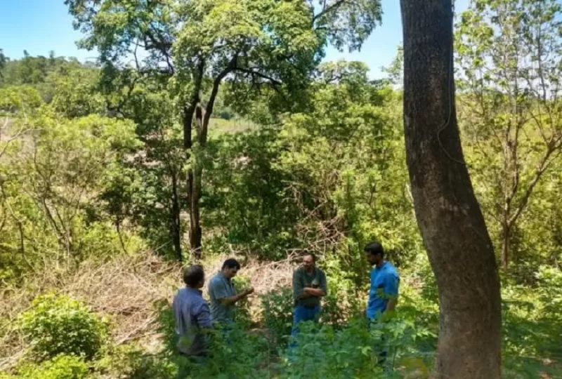 Cuáles son los ocho proyectos científicos de Tucumán que recibieron de financiamiento $100 millones