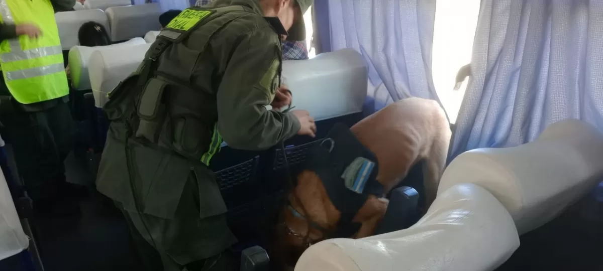 Control de Gendarmería en un colectivo de larga distancia. FOTO ILUTRATIVA