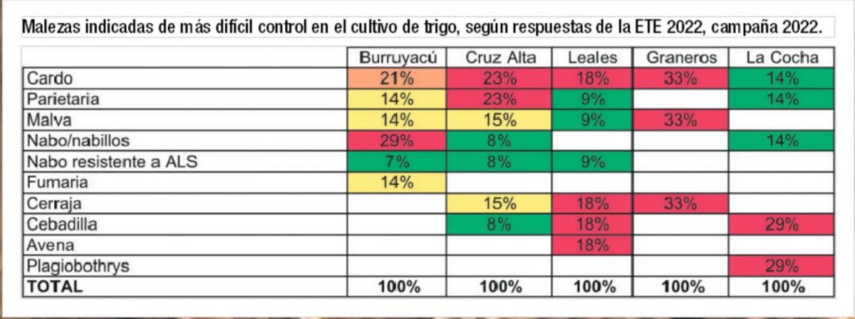 Pulgones y arañuelas, los insectos más frecuentes en el trigo