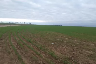 Campaña fina: acaso un punto de inflexión