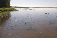 Medio Ambiente cuestionó la denuncia por contaminación en el río Salí