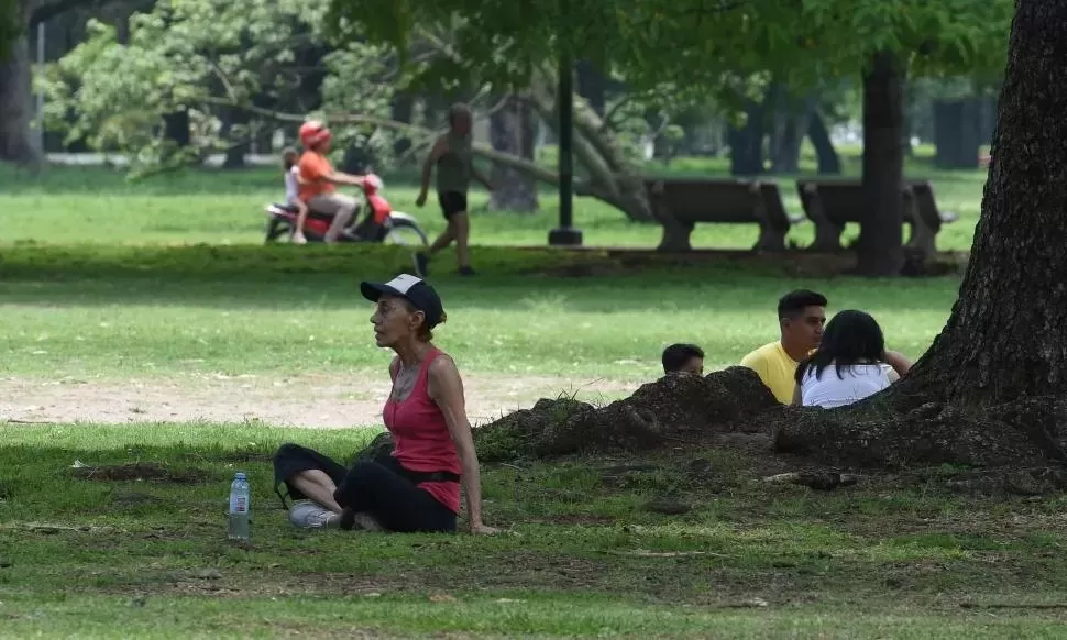 Opositores demandan más espacios verdes en la Capital