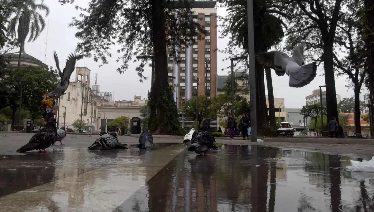 CUBIERTO. Se espera que la densa cortina de nubes comience a disiparse durante la jornada.