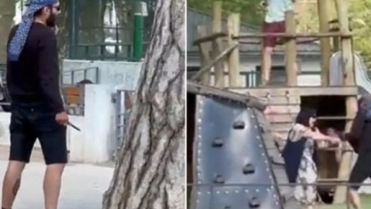 Francia: un hombre apuñaló a cuatro niños y a dos adultos en un parque	