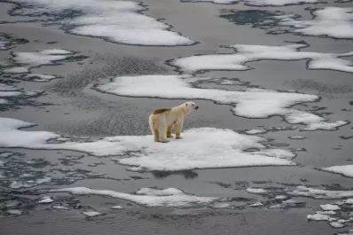El Niño está en camino: comenzó el fenómeno que amenaza con eventos climáticos extremos en el mundo